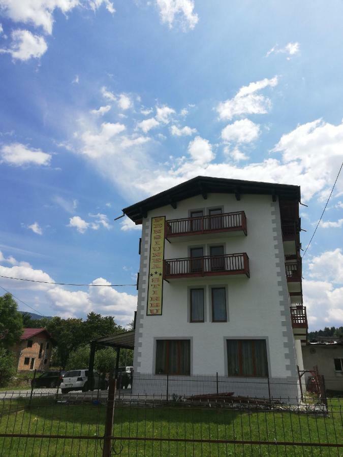 Pensiune Stirbu Borşa Buitenkant foto